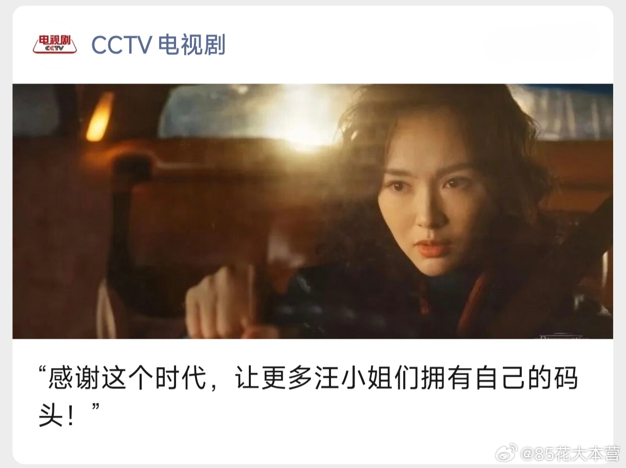 CCTV电视剧——感谢这个时代，让更多汪小姐们拥有自己的码头！坚定做“自己的码头
