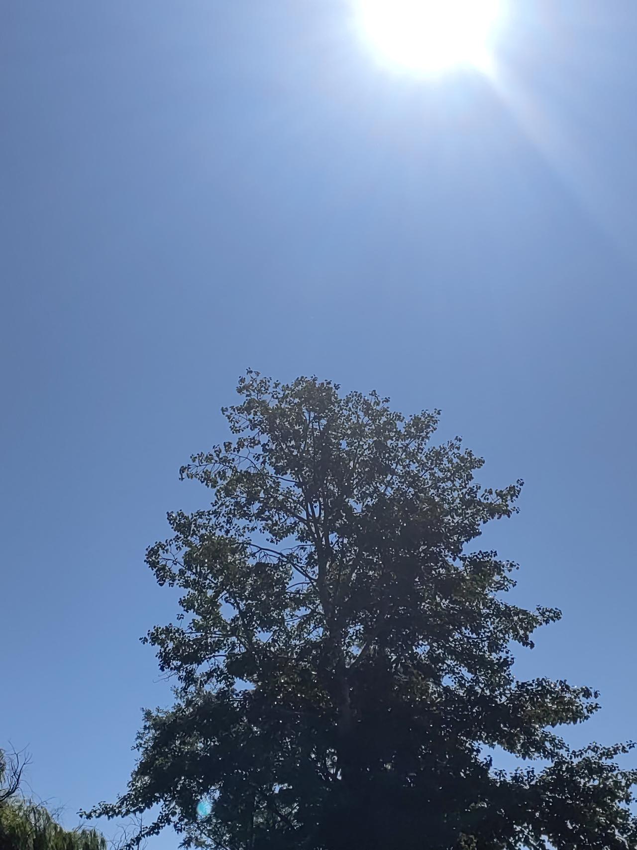 北京高考分数和排名一出，同事大家七嘴八舌讨论了一通，忽然就释怀了：算了，不卷了，