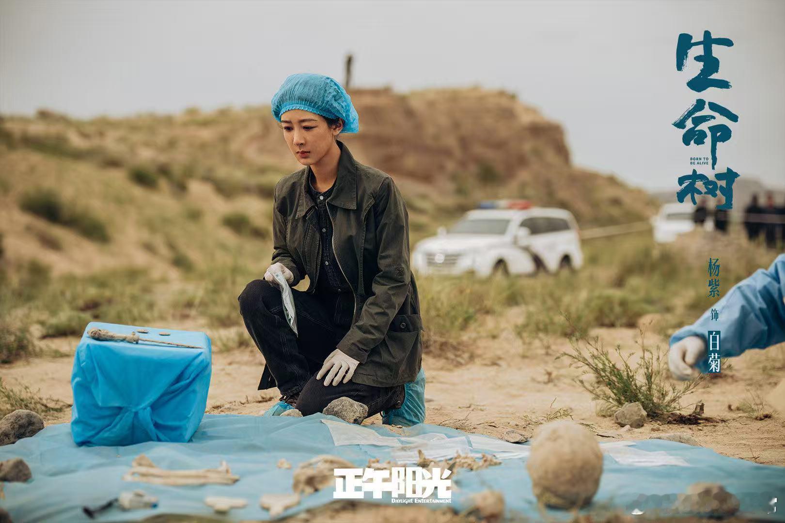 生命树最厉害的地方 把宏大主题藏进人物命运里，既有可可西里的震撼，也有都市里的拉