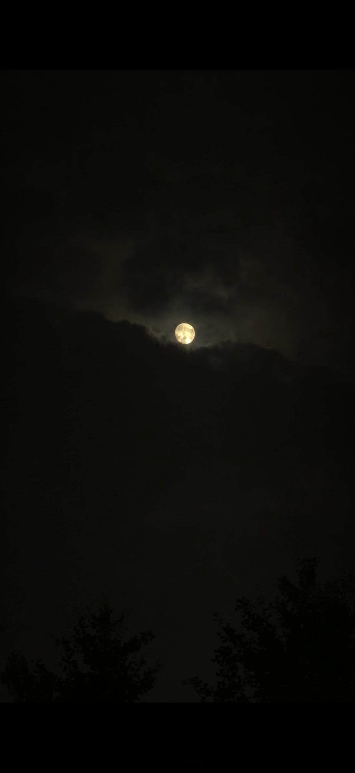 中秋快乐哦🎑 昨晚拍到的月亮也又圆又亮的一颗！ ​​​