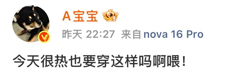 脱了吧哥哥 
