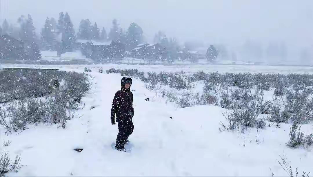 烂尾10年，突然活了。
天津人第一反应不是高兴，是怕。

298元玩一年？
很多