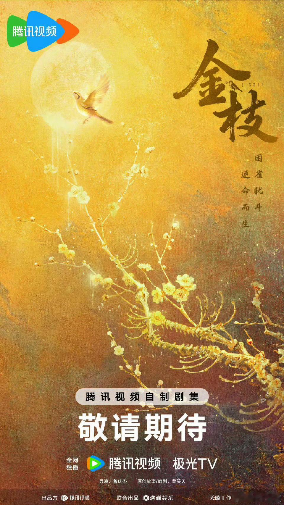 女频必爆饼《金枝》花落李一桐，有点可惜，要我说不如捧个演技合格的新面孔桐姐待播剧