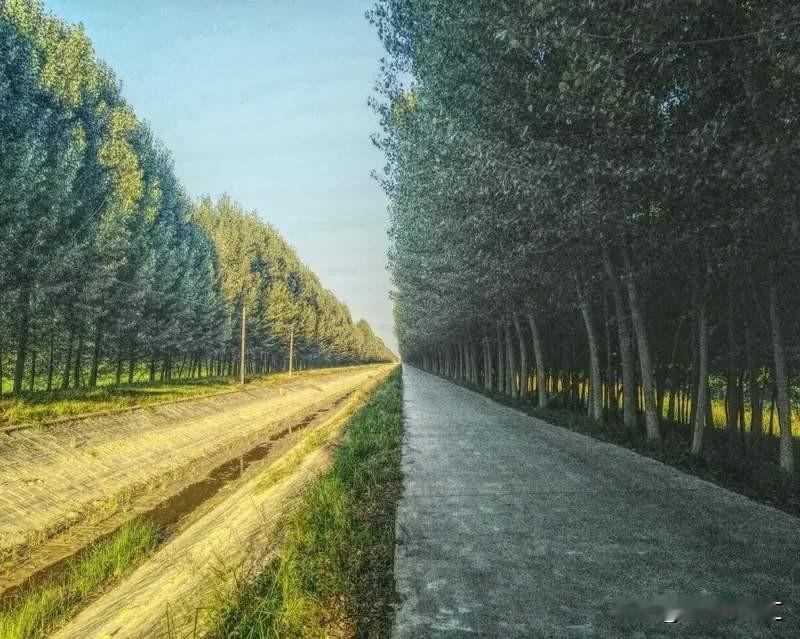 苦难到底给不幸的人带来了什么？有人觉得是无尽的折磨。很多人认为出世就该享福，遇到