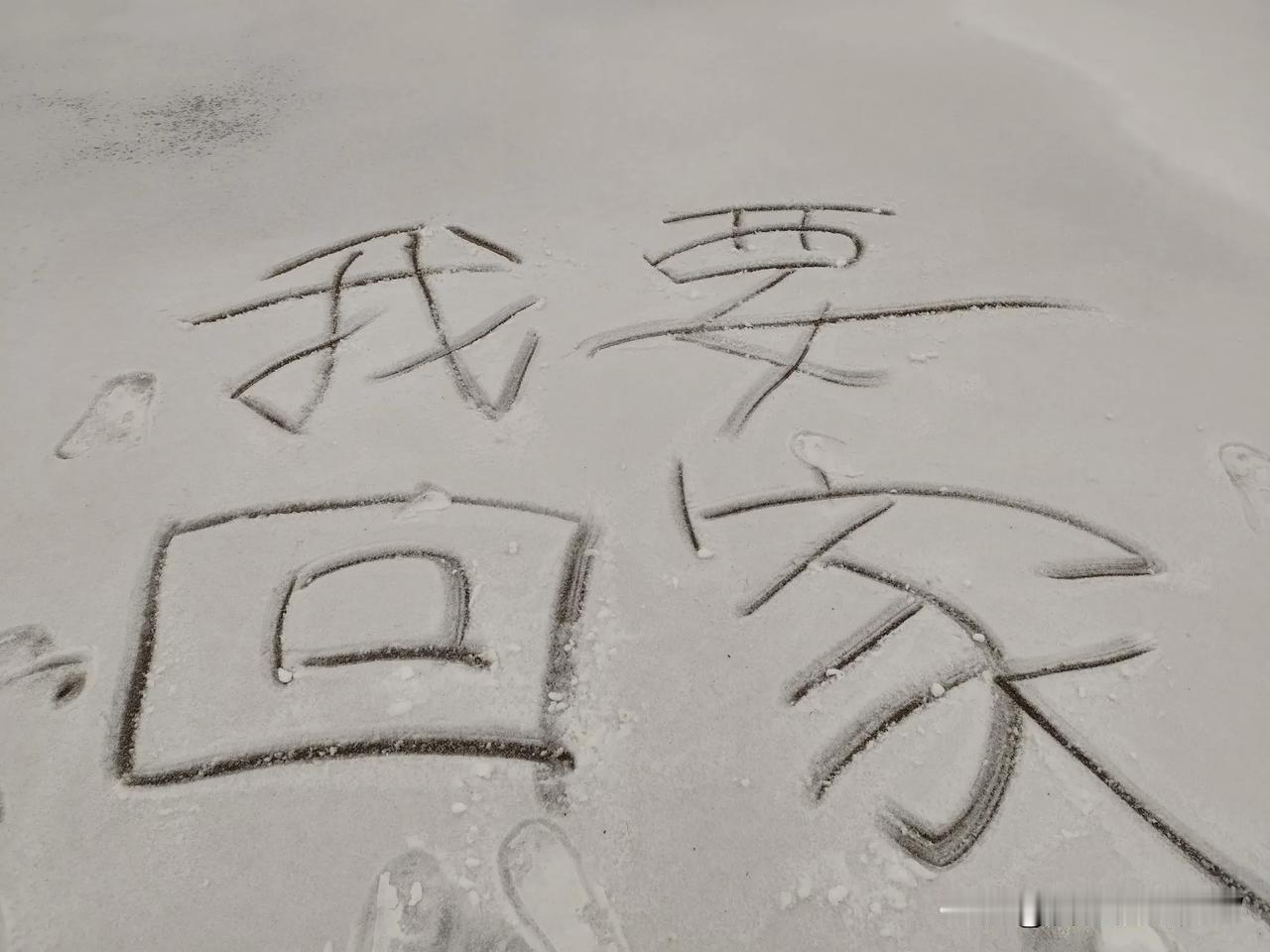 我要回家！却下起大雪，高速路封了，车走不了，人也走不了，关键是没买火车票，这可咋