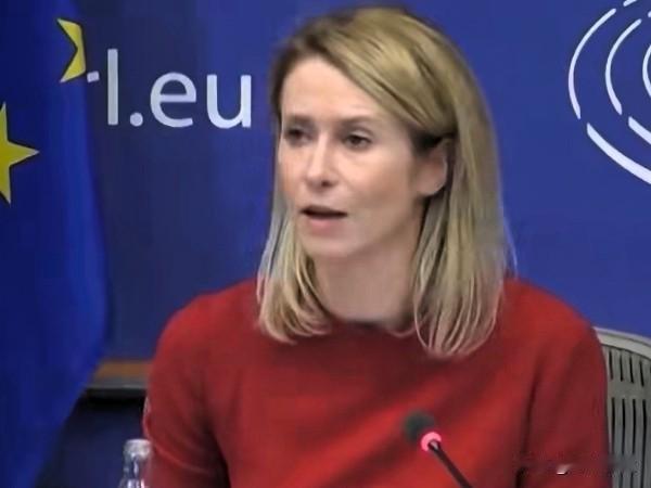 在回应特朗普批评欧盟对马斯克的X巨额罚款表示：“我认为我们绝对应该采取行动，我认