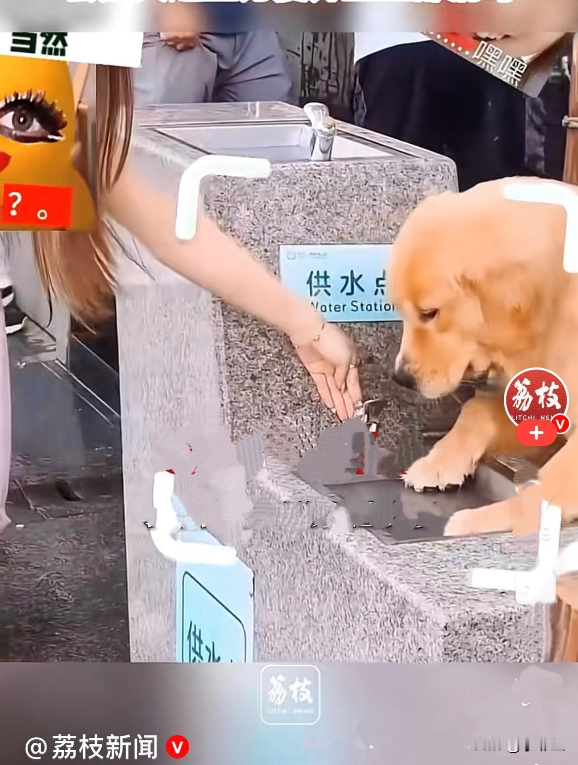 近日，深圳湾公园游人络绎不绝，不少市民带着家人出门休闲散步，公园里的公共饮水点本