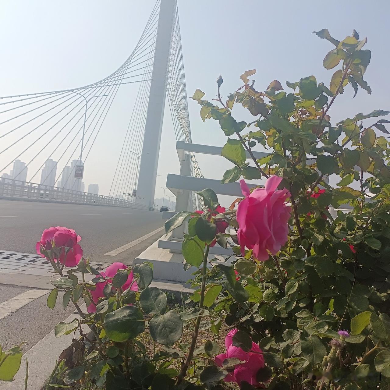 你见过丧失人伦的事情是什么?每每聊起这个话题，心里都格外沉重。大千世界形形色色，