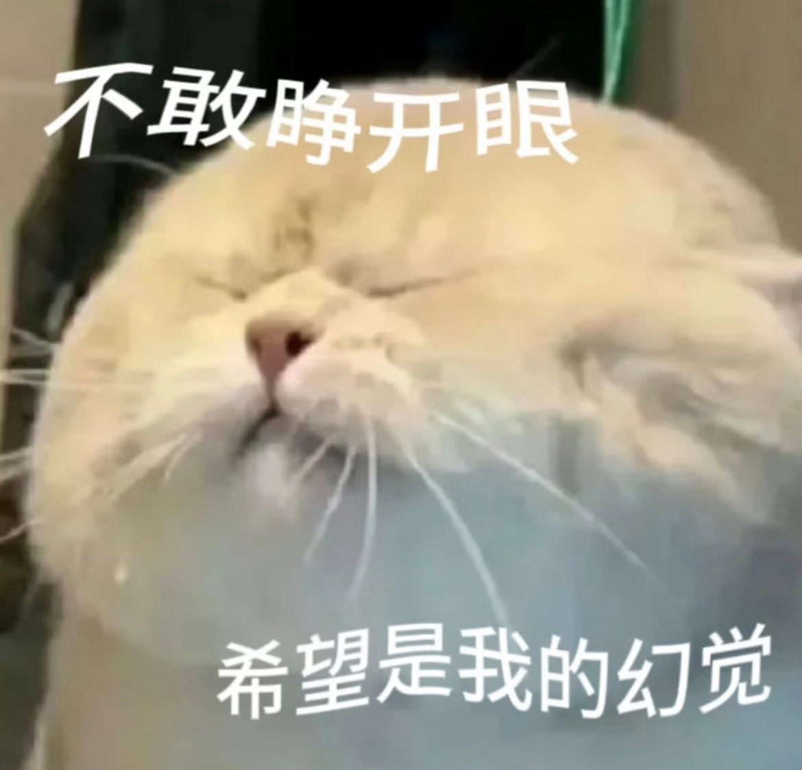 哈哈哈哈，突然想起，之前帮有个闺蜜抽她男友对她的想法：抽出女祭司正➕正义正➕恶魔
