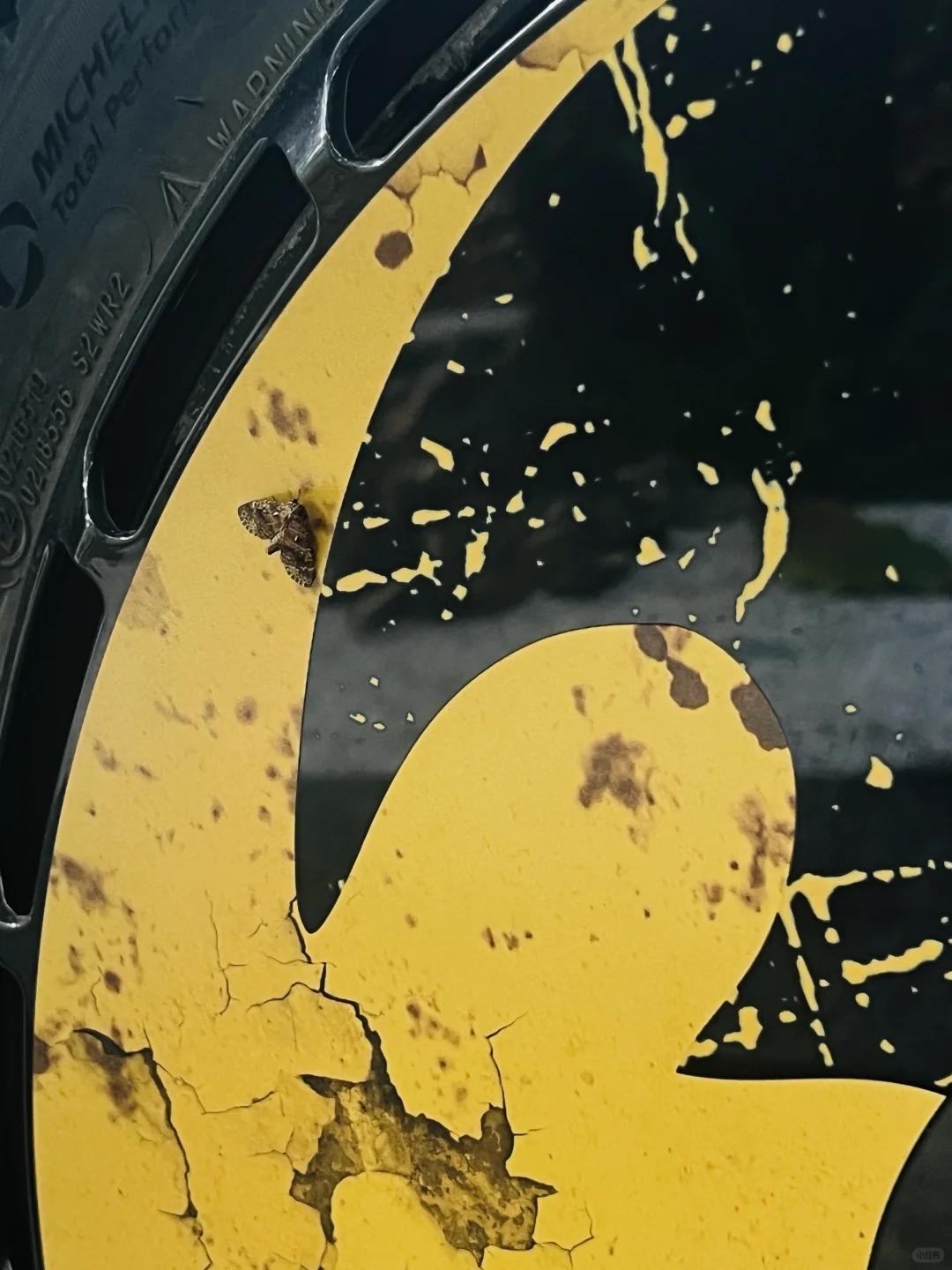 你也是迷了路了吗？