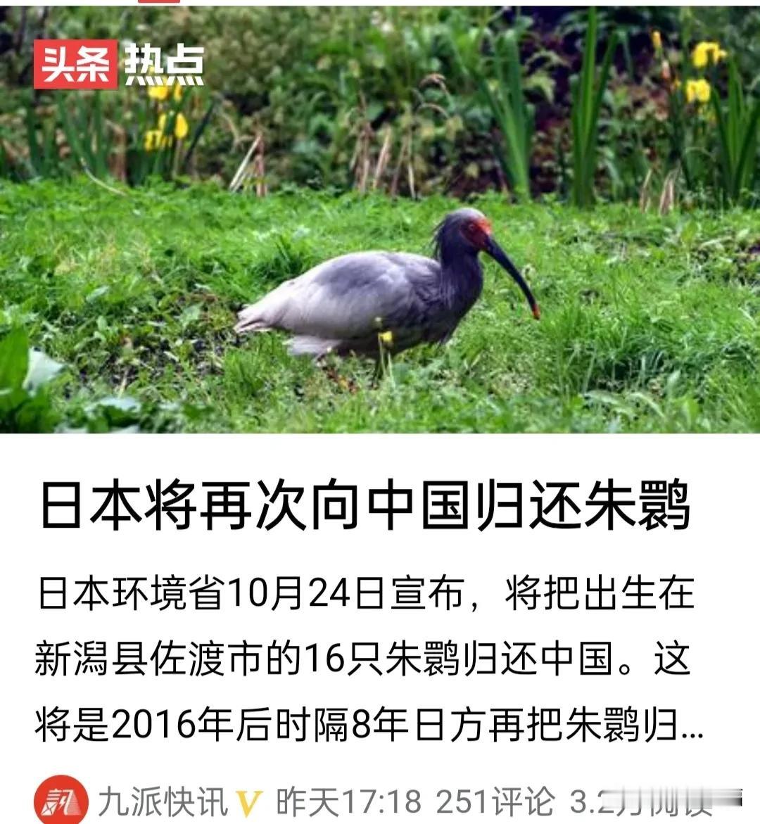 日本再次向中国归还16只朱鹮。

看来这是日本主动向我国释放和平与友好的信号！感