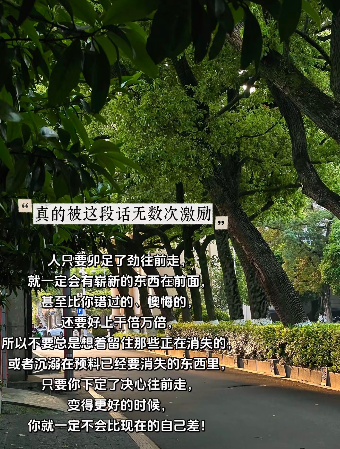 奶奶现在每天都会发朋友圈，分享自己的花草和日常。以前担心她退休后会孤单，现在反而