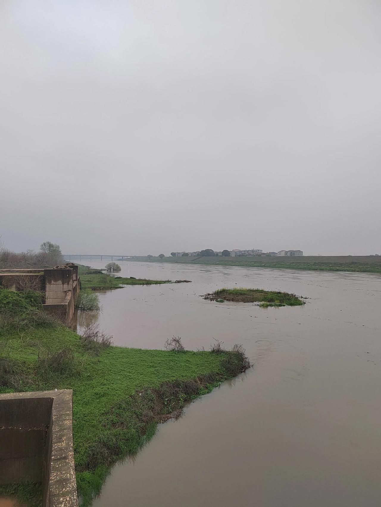 2026年的第一场洪水，春汛、小涨，洋溢着春天的气息。