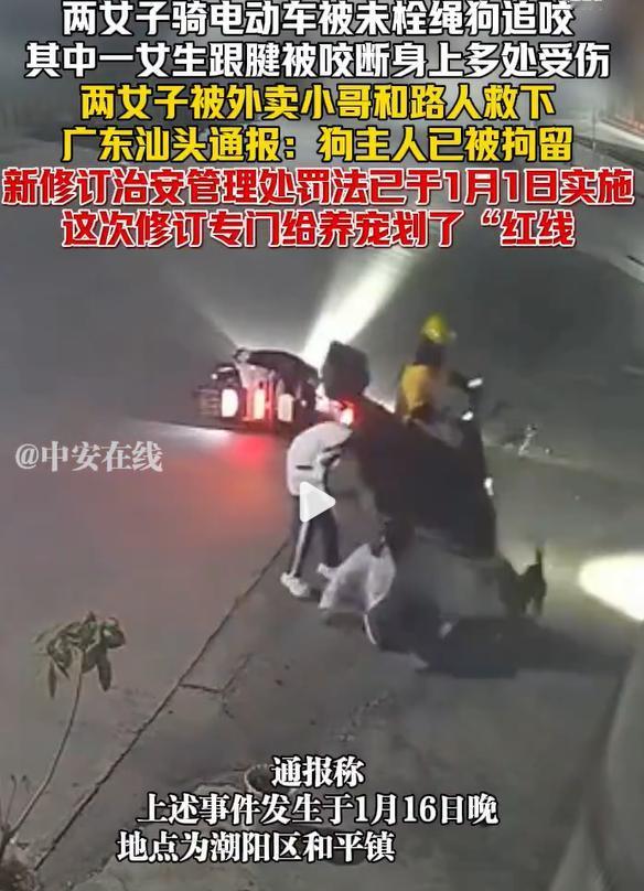 恶狗追咬2女子狗主被拘，这就给所有养狗的人提了一个醒，不管什么原因，自家的狗不栓