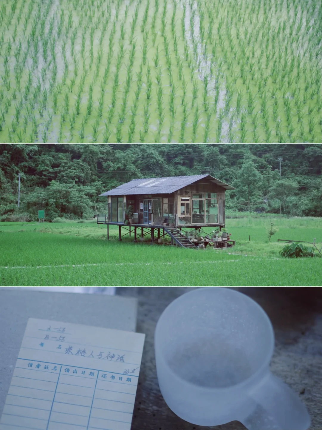 在过森日后 住在山里积蓄能量