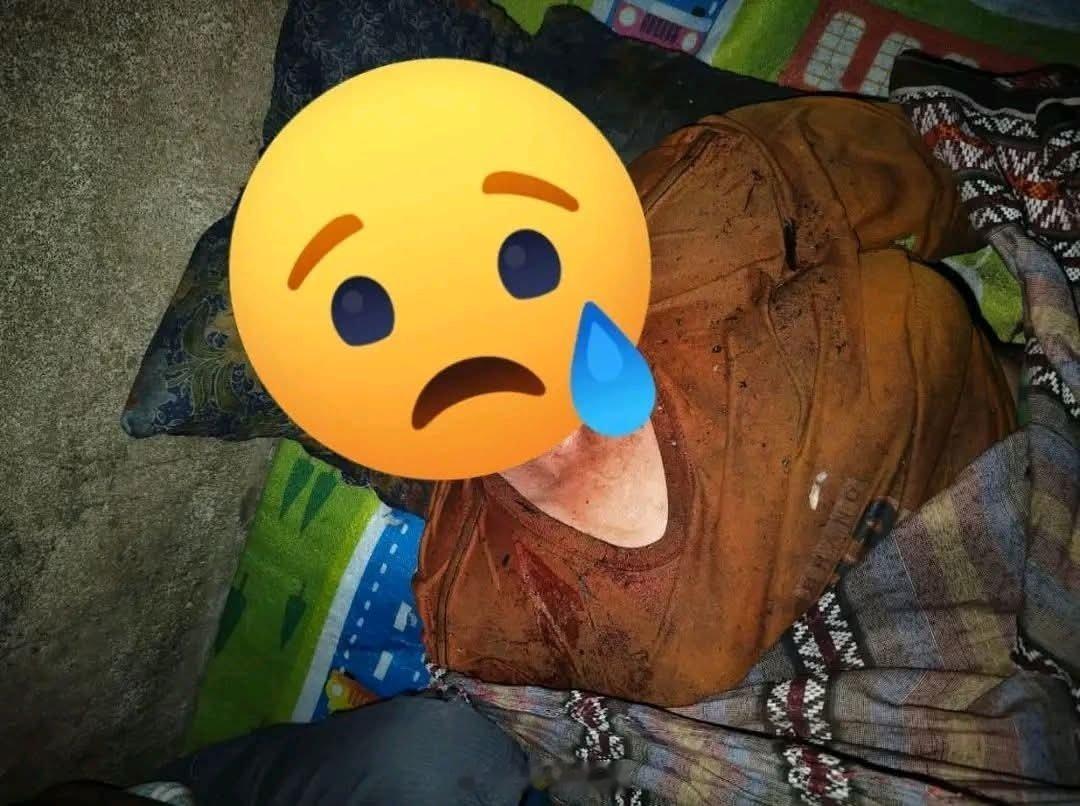 印尼女子遭8米长蟒蛇缠绕活吞致死老实说，这是让人起鸡皮疙瘩的新闻之一。一个在塔利