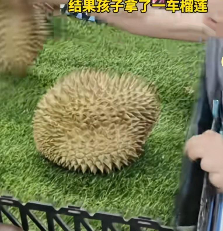 这次考试考了个好成绩，妈妈奖励他说30秒内拿自己喜欢的东西随便拿，
结果孩子拿了