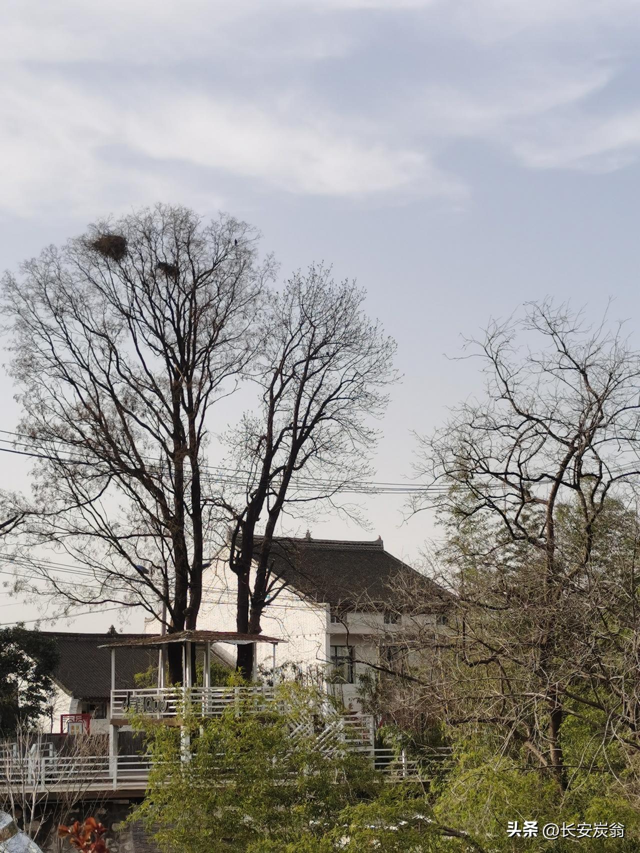 今日闲来无事，突然想去山上看看。于是步行穿过周至辛口村，在村南进入辛口峪口。沿着