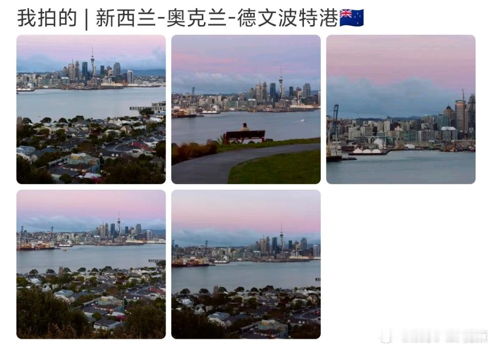 李现分享新西兰随拍李现镜头下的粉紫色奥克兰，好会拍李现镜头下的奥克兰 ​​​