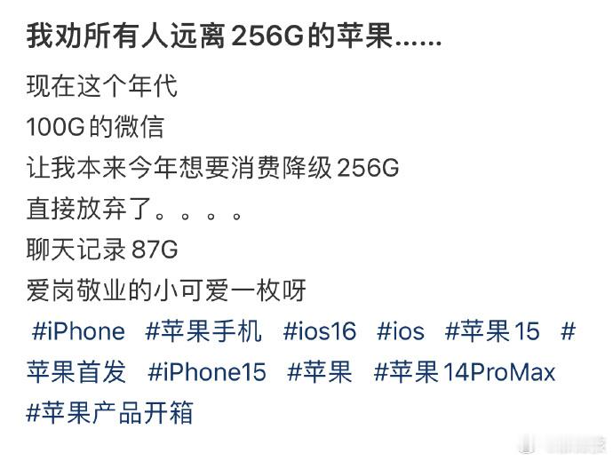 我劝所有人远离256G的苹果…… ​​​