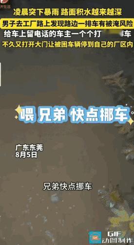 活该你发财！广东东莞，凌晨暴雨突降，男子赶往工厂安排防洪工作，却发现十几台车已被