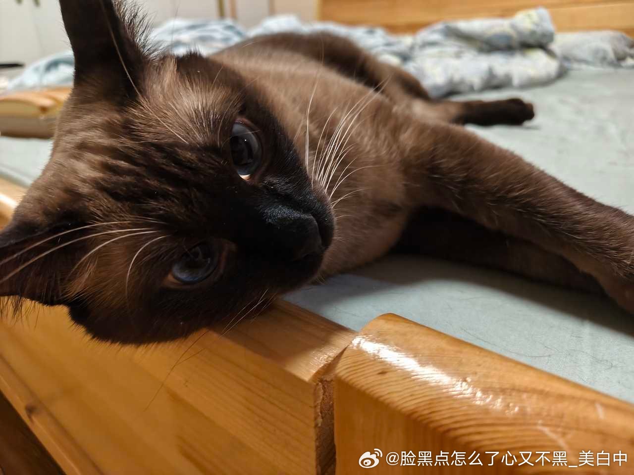 早安逼罗 ​​​