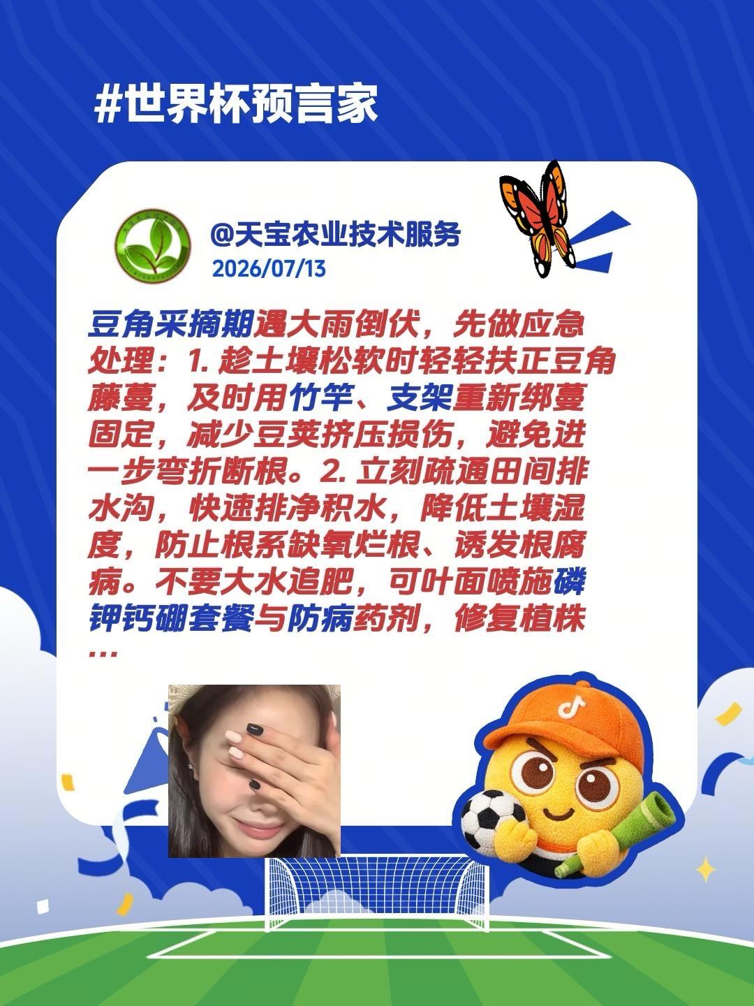 豆角遇雨倒伏咋办？我评论了@ㅤㅤㅤㅤㅤㅤㅤㅤㅤ 的作品：
豆角采摘期遇大雨倒伏，