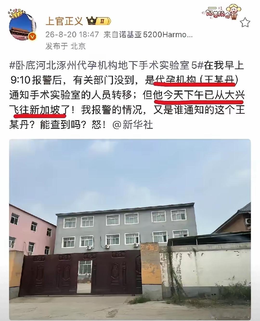 小鱼肯定跑不掉！大鱼能一网打尽吗？