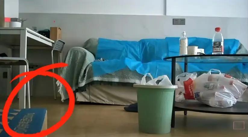 细心的网友应该能发现，视频里的拍摄工具居然藏在了一摞书后面！用书籍当掩体确实有点