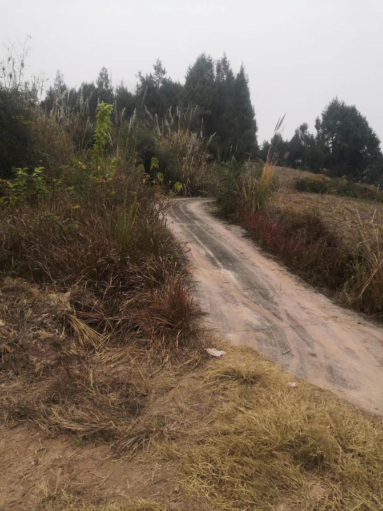 登上山顶看美景 乡村风景 我的农村生活 农村生活日常 乡村田野