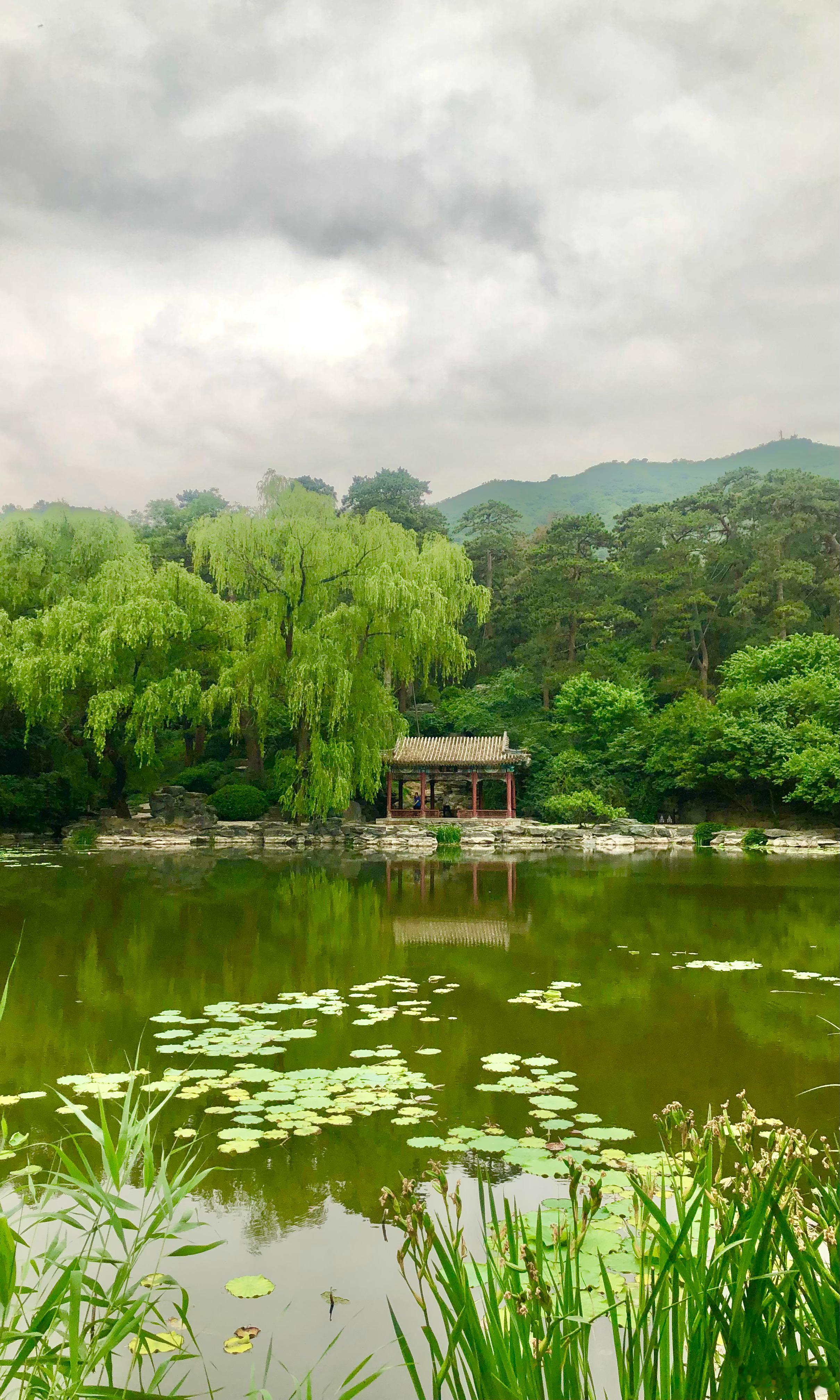 【雨中的北京香山公园】宿云晦城阙，晓雨生微凉。绿缛草木润，清虚尘土香。宇宙暂扫除
