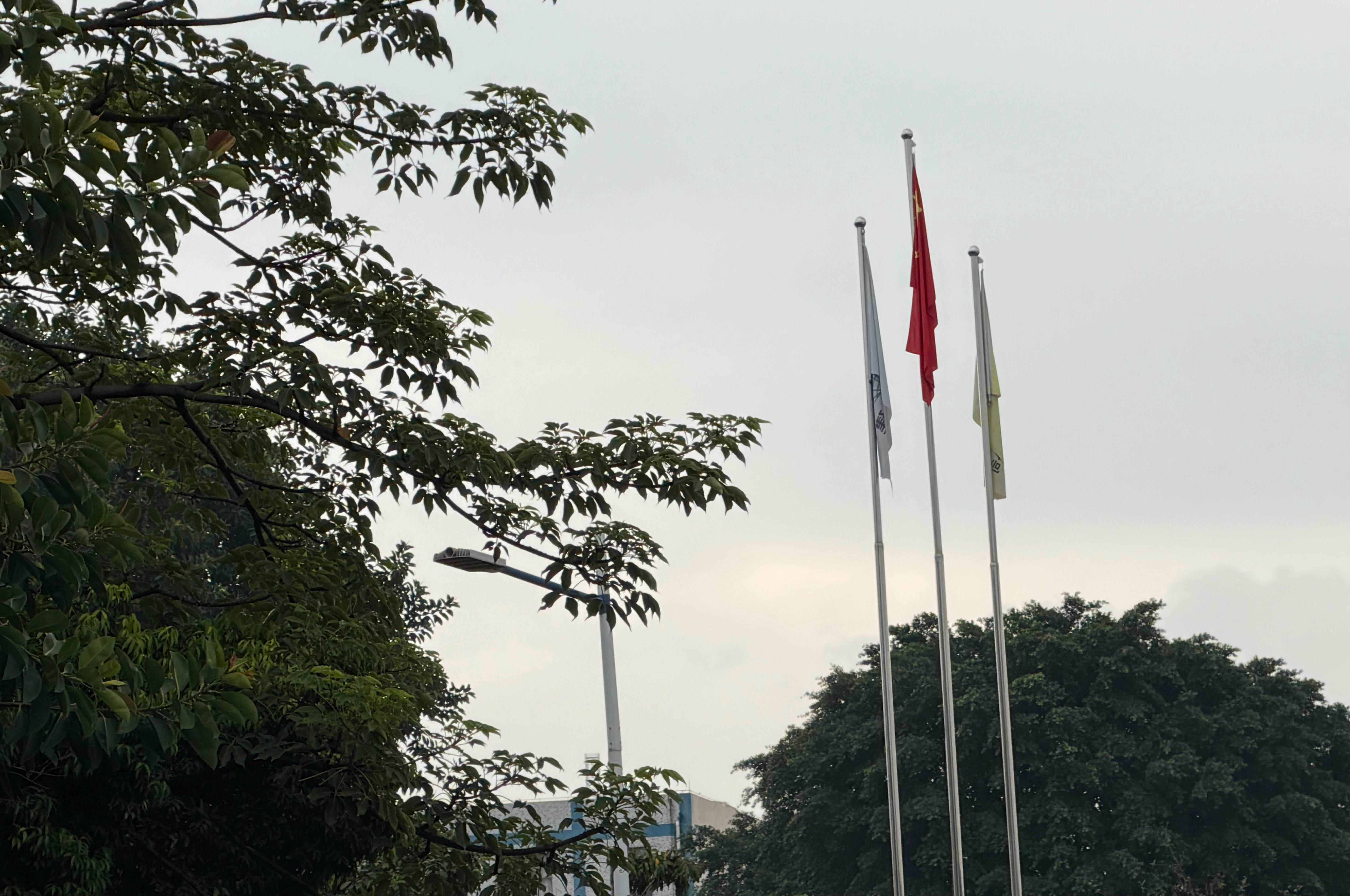 八点上班，七点半到岗，窗前放空中…… 