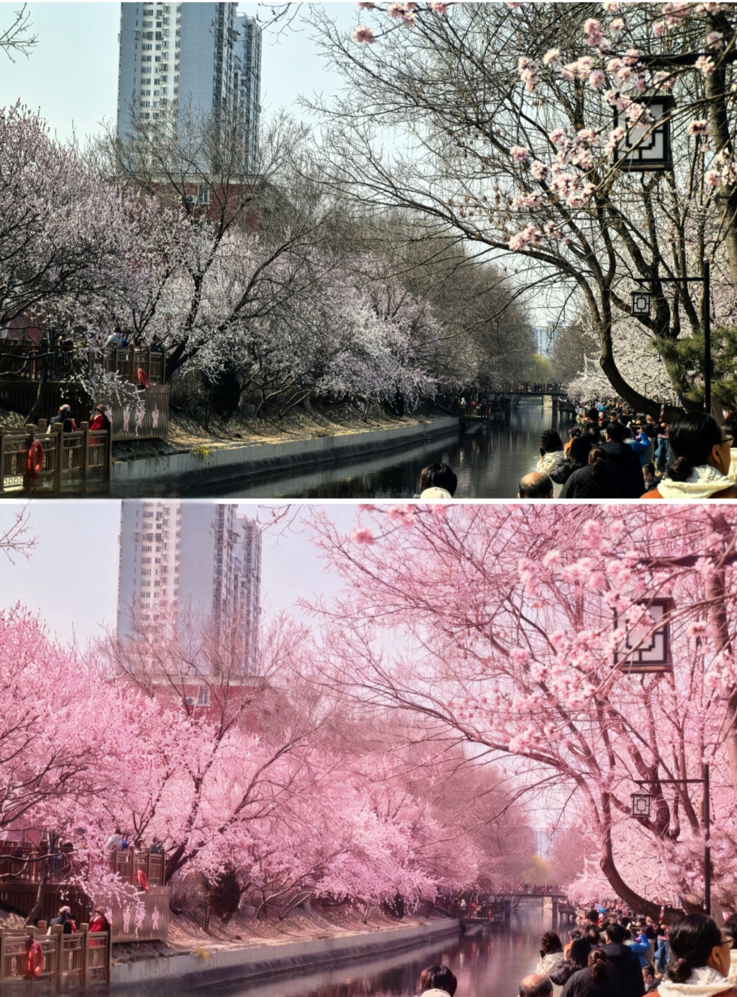 买家秀和卖家秀。 