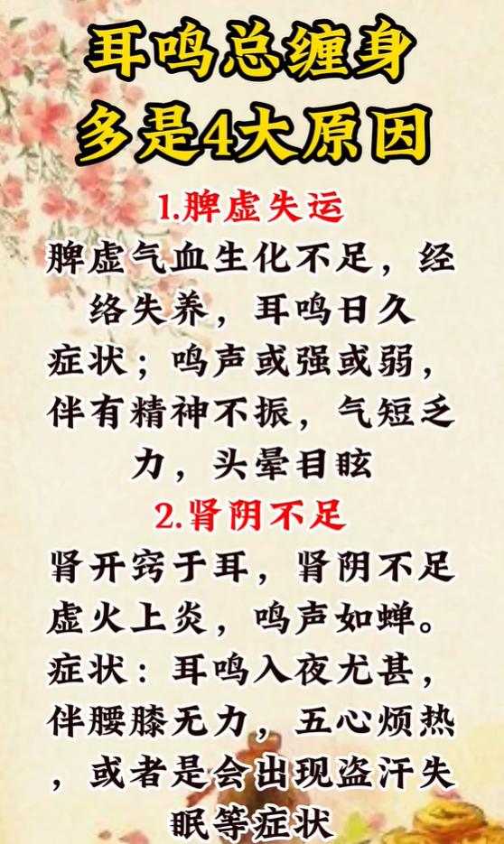 夜里蝉鸣、耳朵闷堵耳鸣，病根各不同