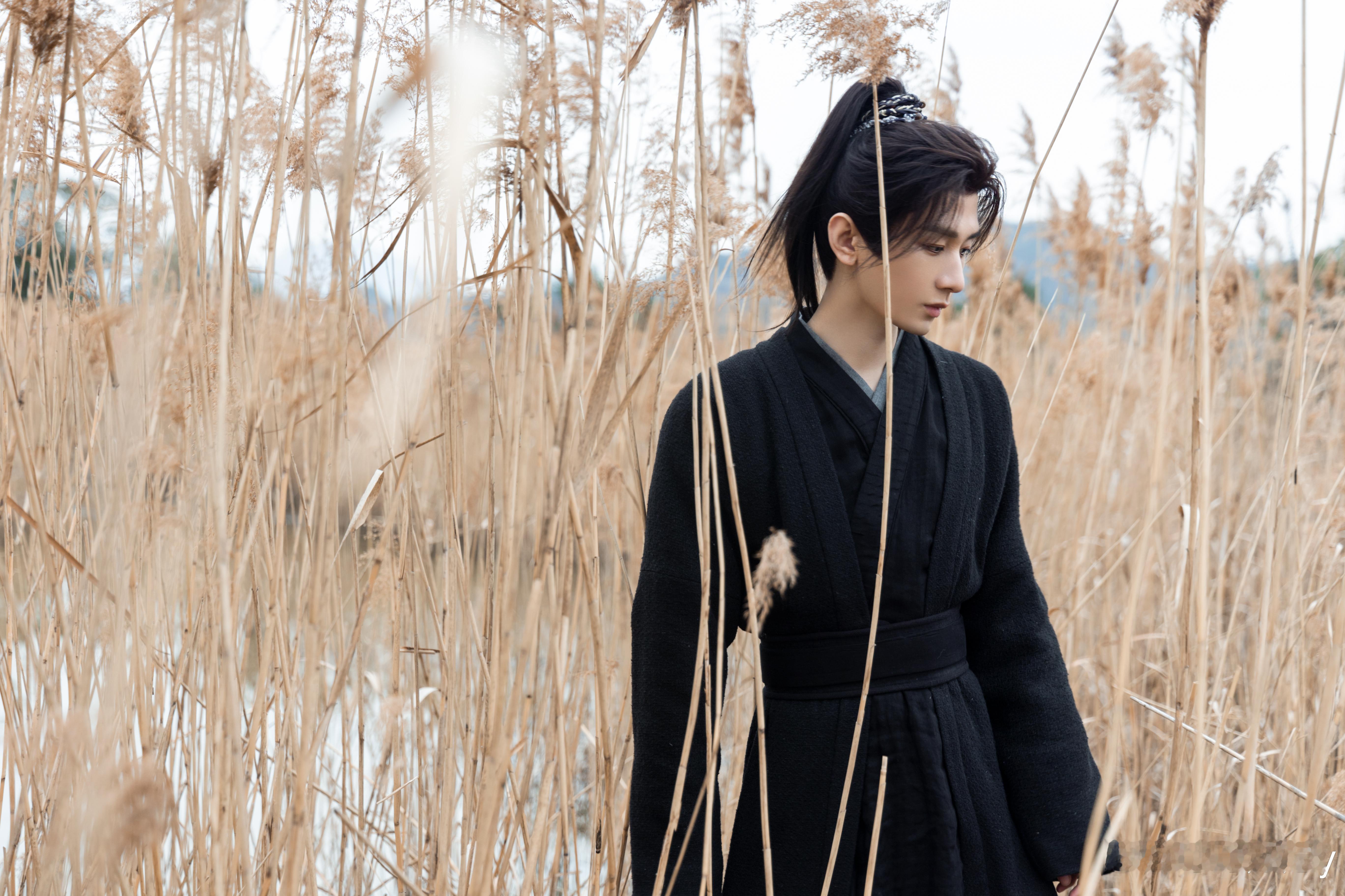 成毅长安二十四计cy成毅谢淮安湖水如镜，倒映漫天胭脂流火。    你矗立阡陌，身