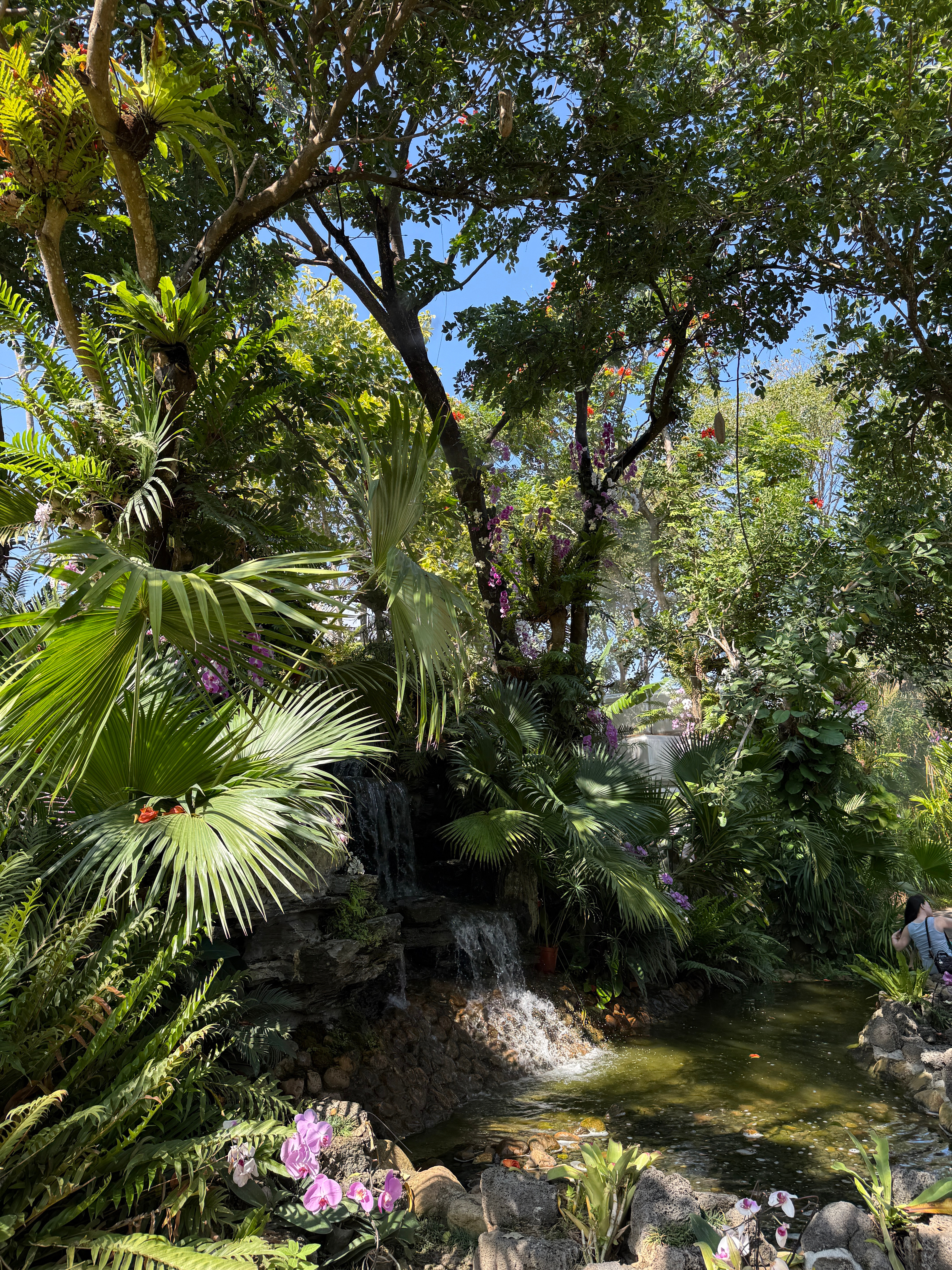 没想到海边藏有一个小花园，竟然有绿野仙踪的感觉