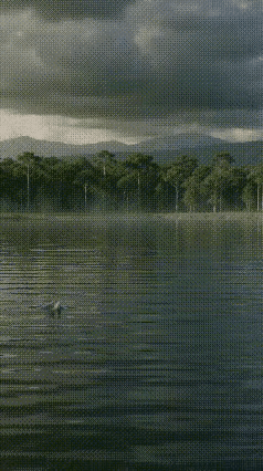 你去抄底却被抄家
股市的最大魅力就是人人都以为自己研究的没边，各种技术流和运气流