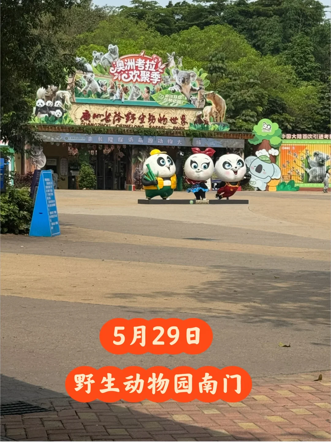 长隆野生动物园5月29日