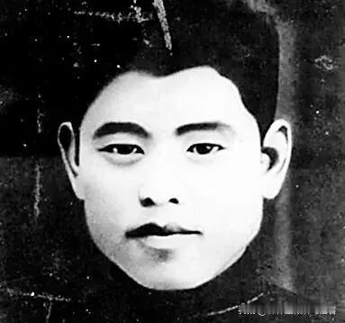1949年，国军中将韩任民的独子韩子重被特务冠以通共罪名处决。噩耗传到成都宅邸，
