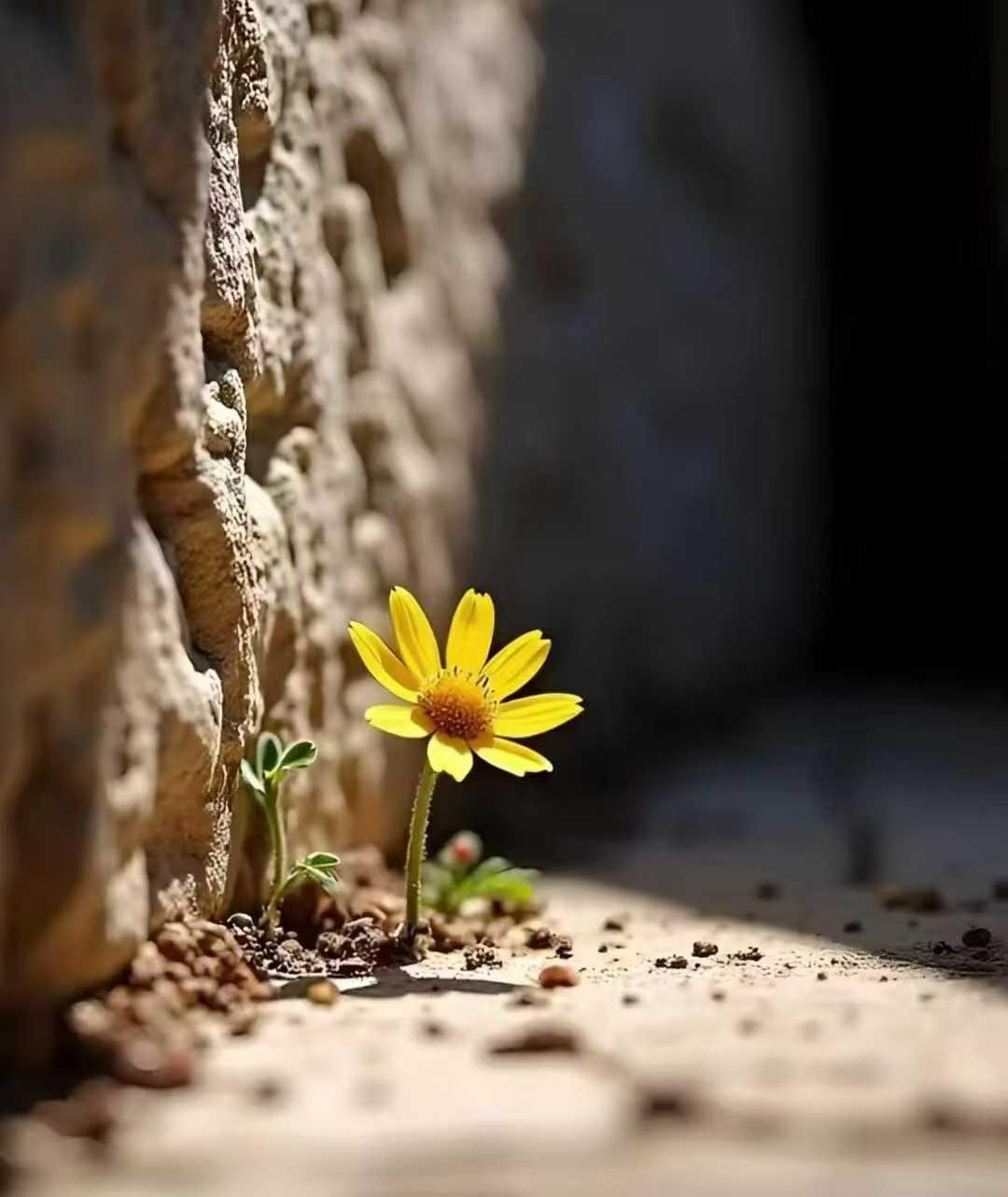 想成为什么样的人
就泡在什么样的环境里
人生是和自己较劲，
也是和同路人奔跑
远