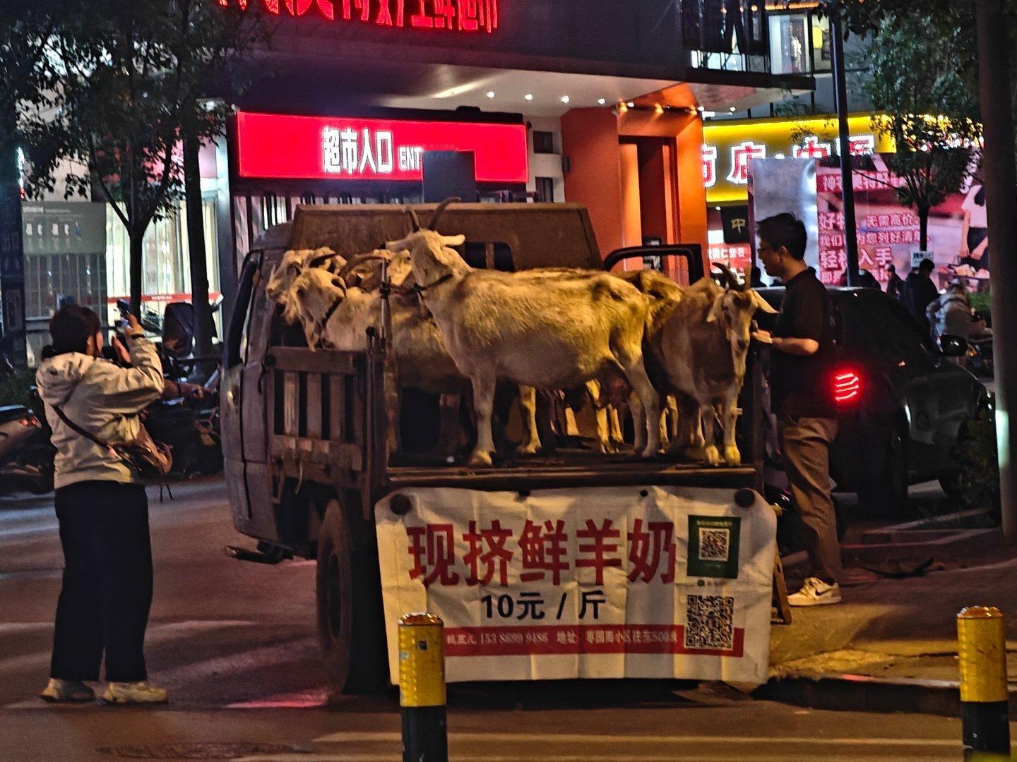 数码闲聊站 敢为天下【鲜】AI如今都快机械降临了，居然还有这么原生态的“买卖”，
