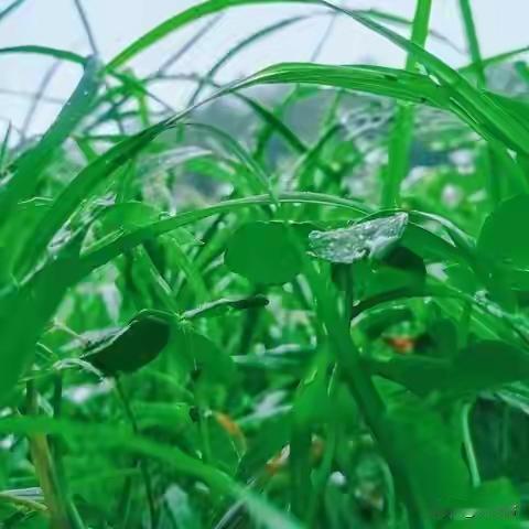 人到半生才懂，最好的余生，不争不吵，安静度日
人到半生，如同行至山巅，看过了风起