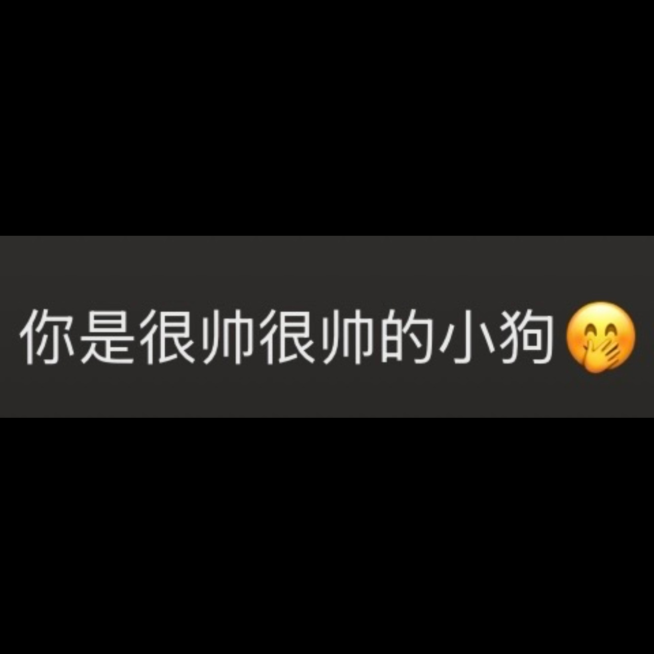 “你是很帅很帅的小狗🤭”是新鲜的斤崽🤭 