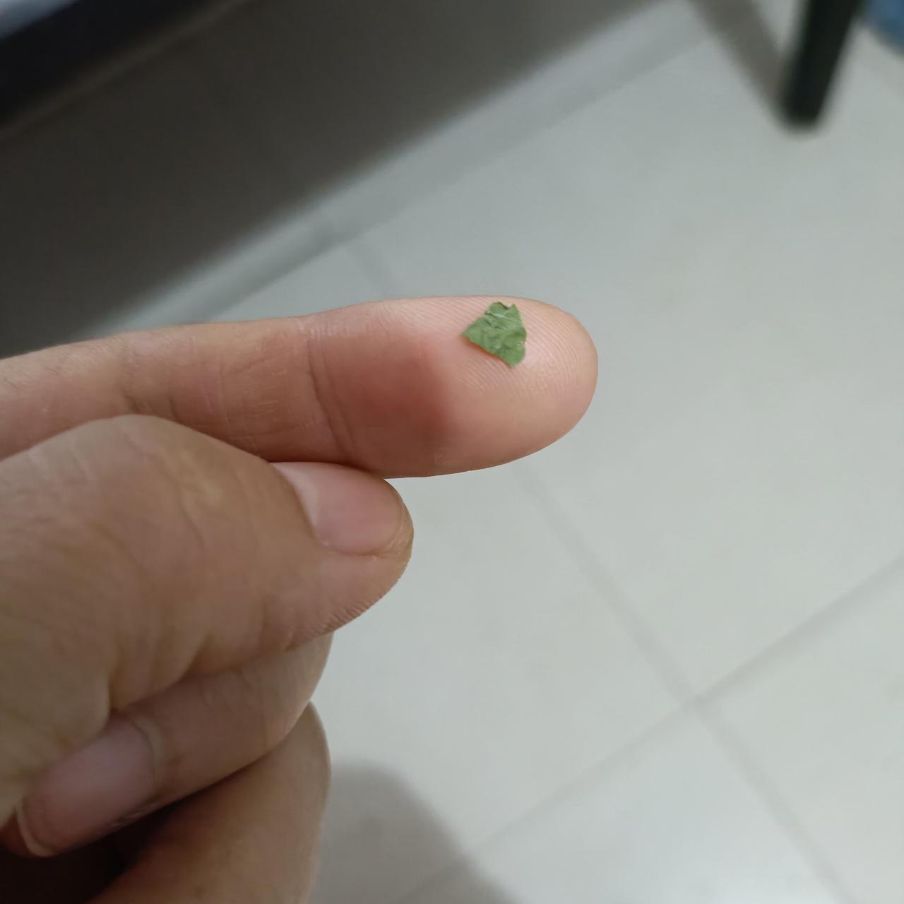 眼睛的包容性太强大了！
这个节气还打枣吃就已经很稀奇了。
可是打枣被枣树叶迷眼更
