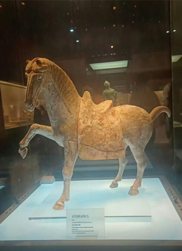 【洛阳博物馆回应唐代陶马倒下断裂】倒下断裂陶马已被转移至修复中心 洛阳博物馆20