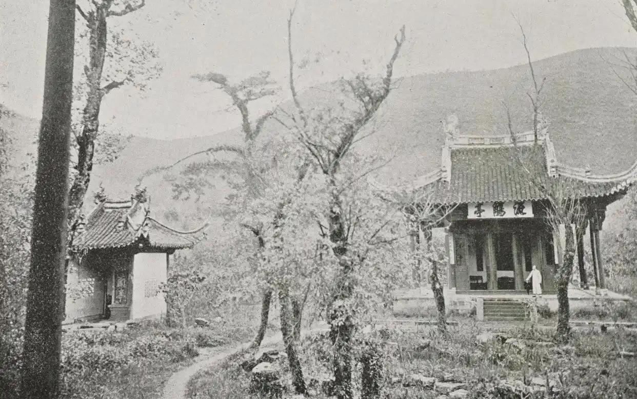 1874年农历五月月底，绍兴高埠乡云端之上，一条巨龙蜿蜒盘旋，顺着云层缓缓往下坠