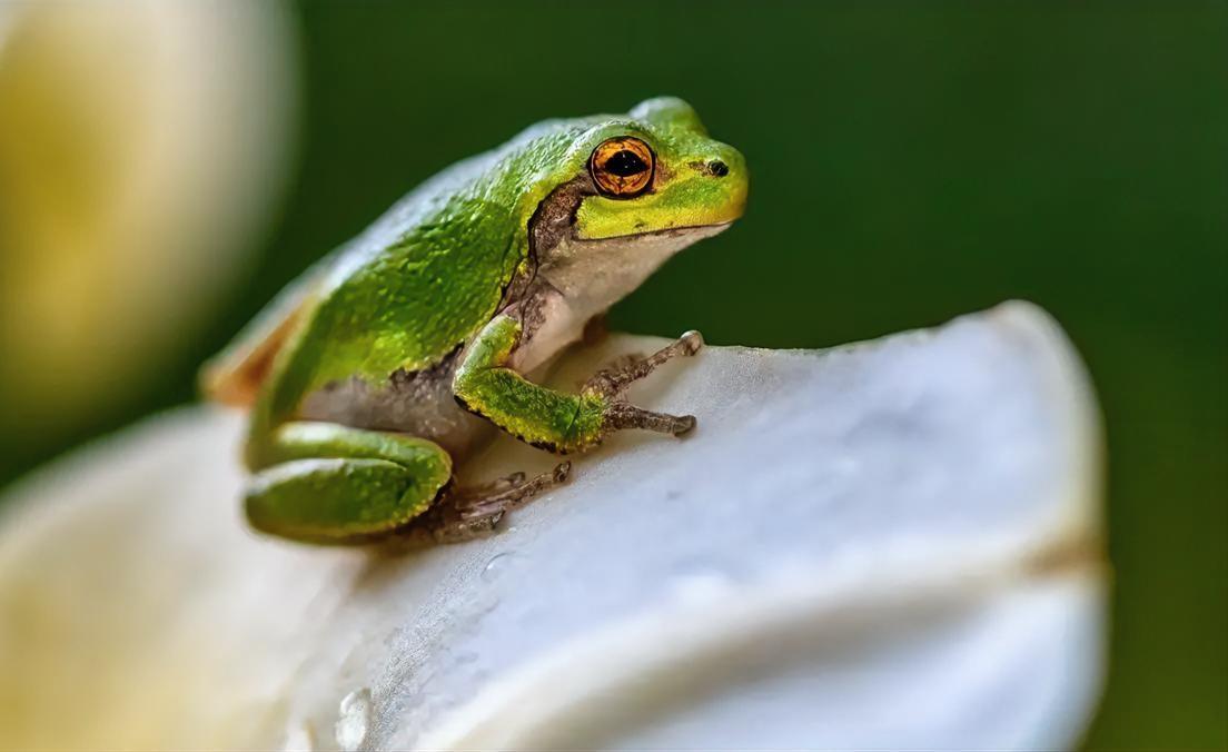 哈哈哈，AI这回真的“翻车”
翻到沟里去了！
刚才刷到一条新闻，差点把我笑岔气—