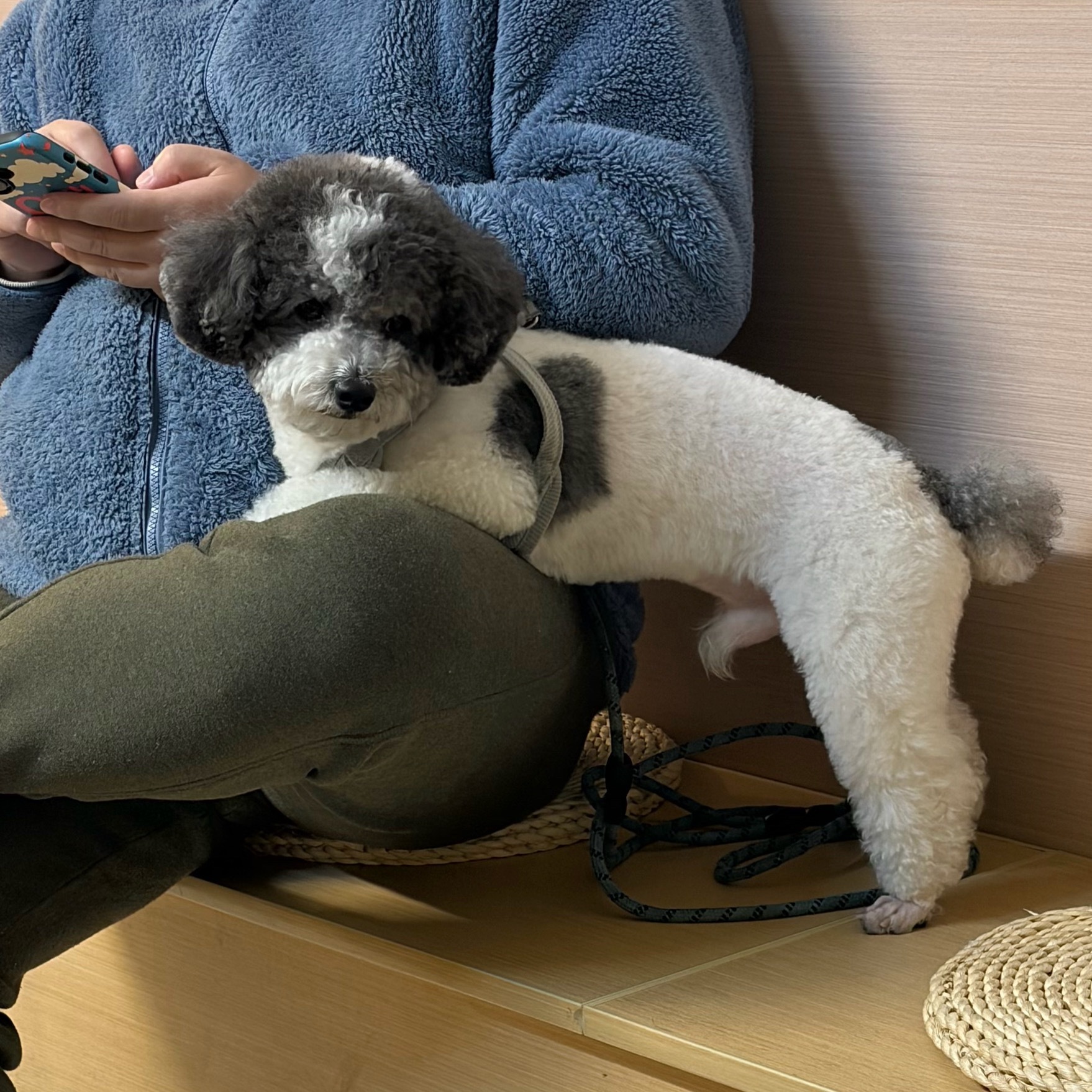 早在杭州喝咖啡挤地铁的都市丽人生活还是比小县城丰富太多了 