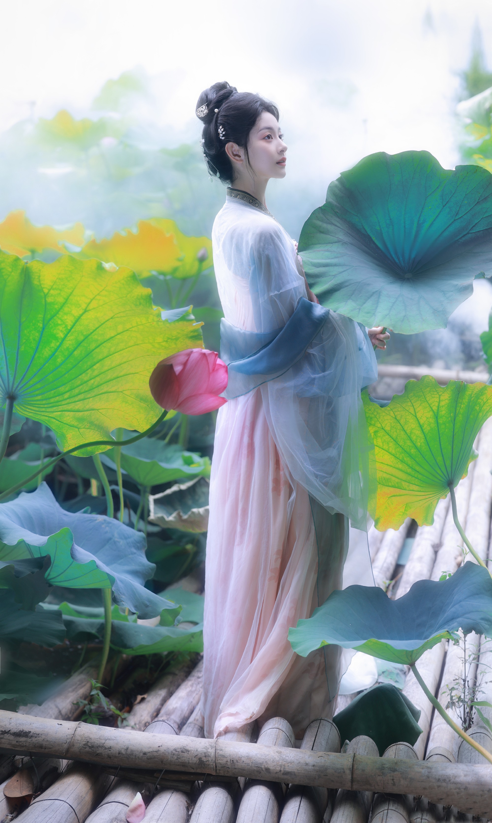赵晴：荷间小甜，古风倩影 ​​​