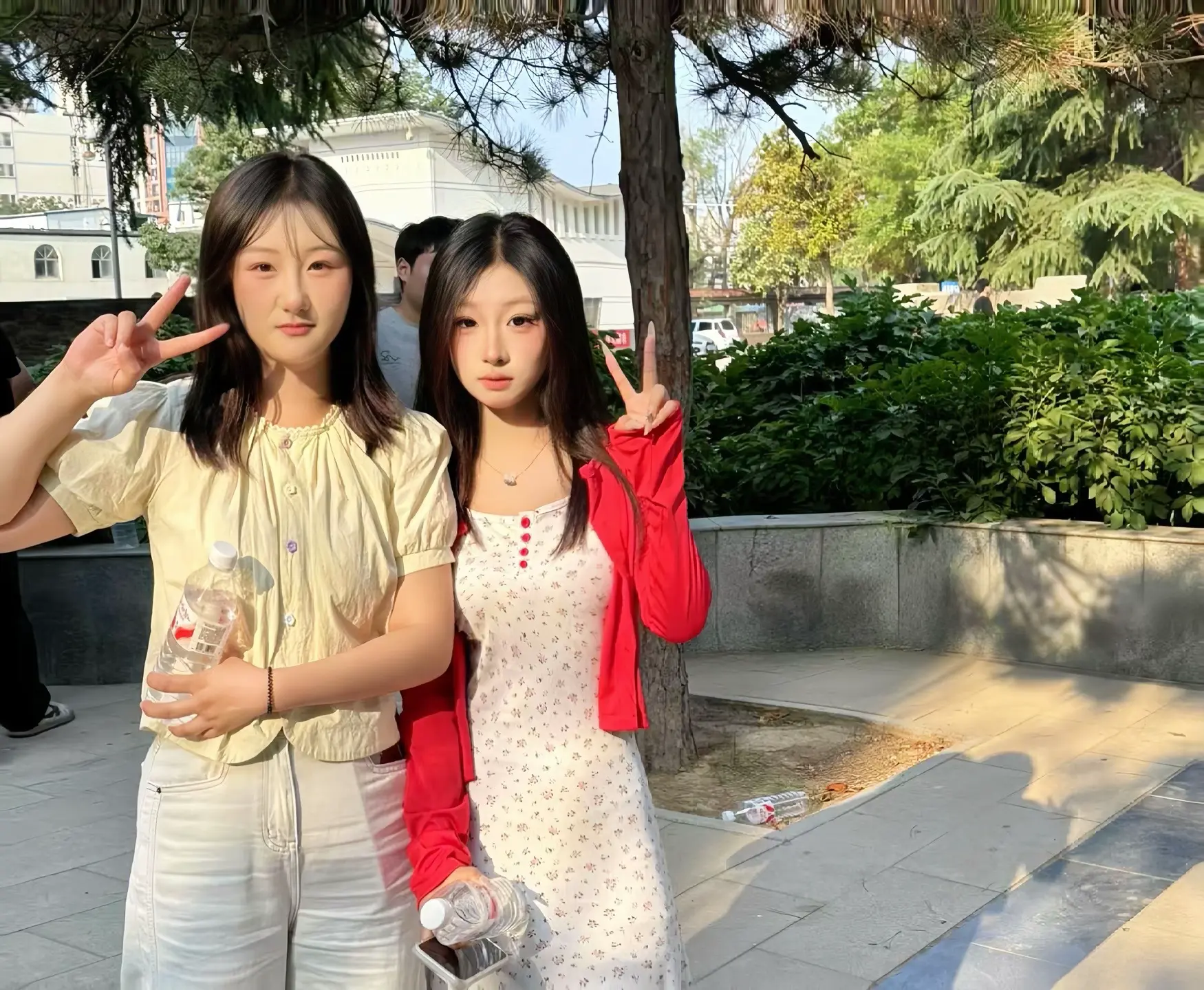 我一读再读 不得不承认 青春是一本太仓促的书